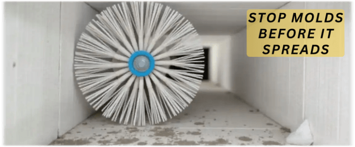 Air Duct Mold Removal in Euless TX