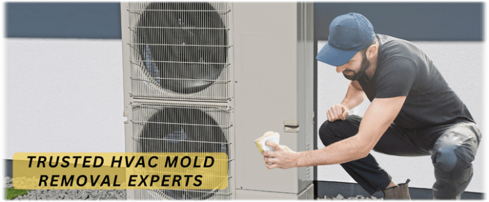HVAC Mold Removal Euless TX